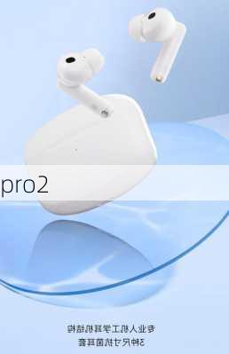 pro2