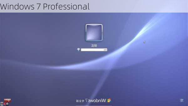 Windows 7 Professional