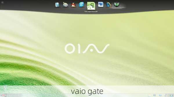 vaio gate