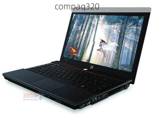 compaq320