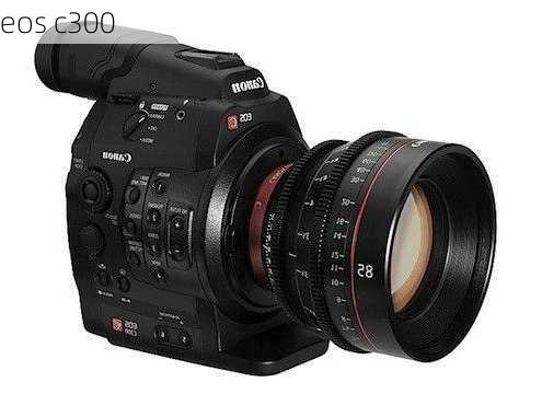 eos c300