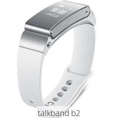 talkband b2