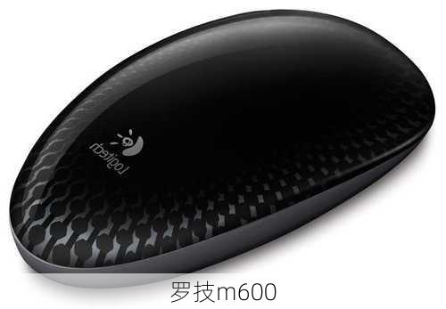 罗技m600