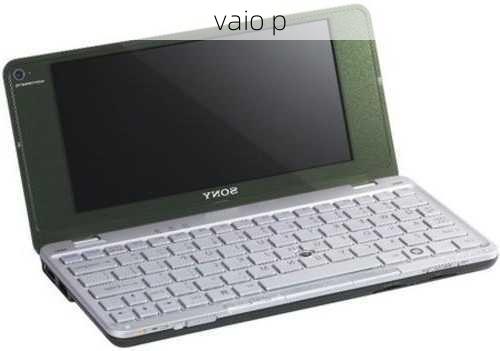 vaio p