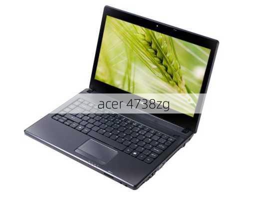 acer 4738zg