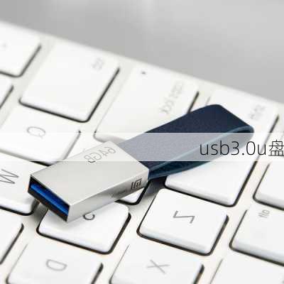 usb3.0u盘