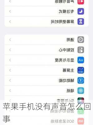 苹果手机没有声音怎么回事