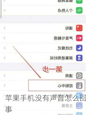 苹果手机没有声音怎么回事