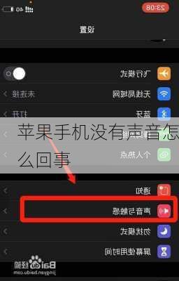 苹果手机没有声音怎么回事