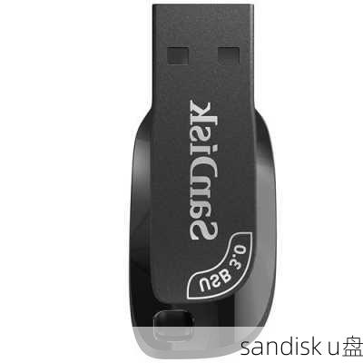 sandisk u盘