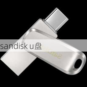 sandisk u盘