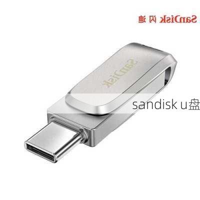 sandisk u盘