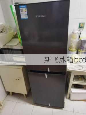 新飞冰箱bcd