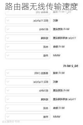路由器无线传输速度
