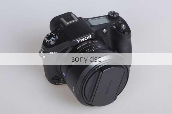 sony dsc