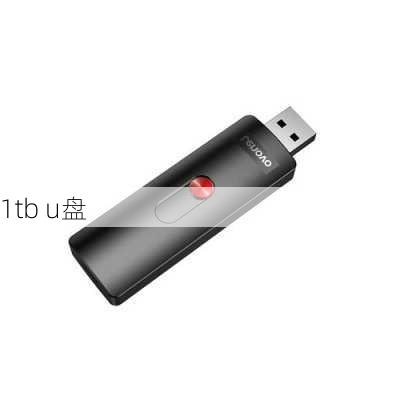 1tb u盘