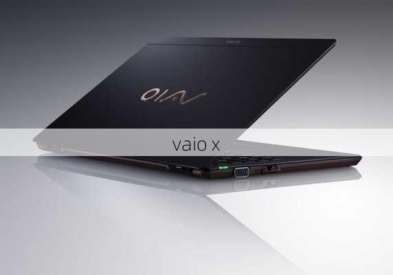 vaio x