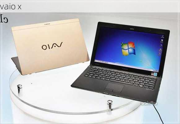 vaio x