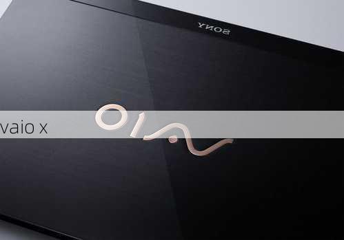 vaio x