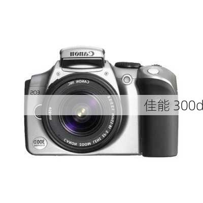 佳能 300d