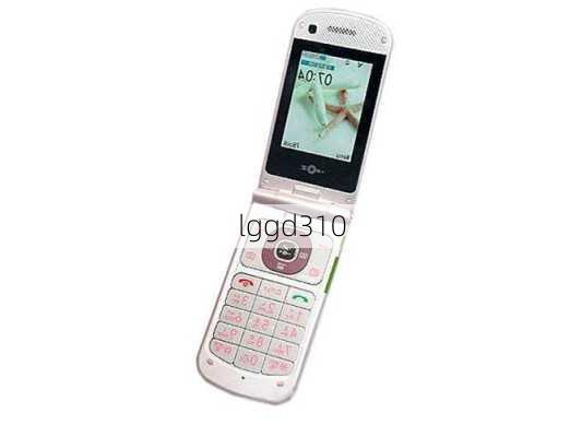 lggd310