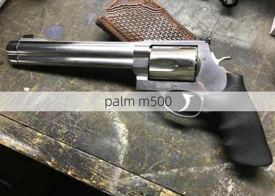 palm m500