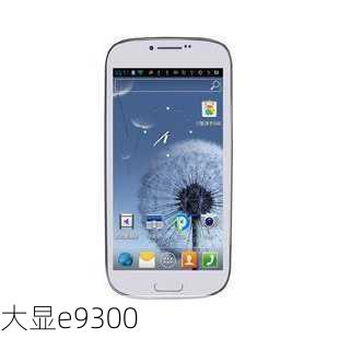 大显e9300