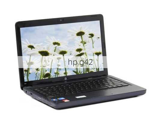 hp g42