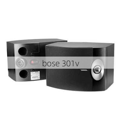 bose 301v