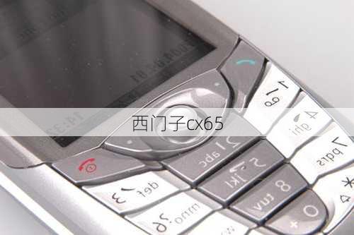 西门子cx65