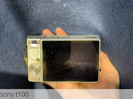 sony t100