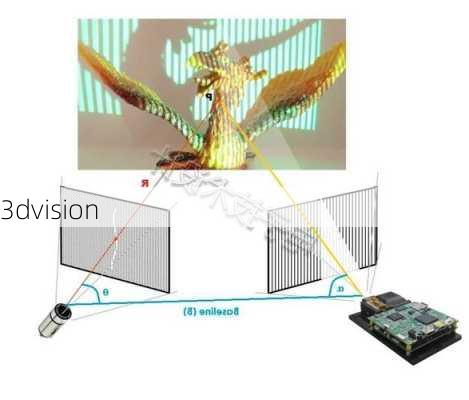 3dvision