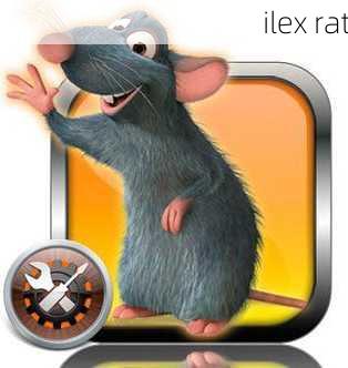 ilex rat