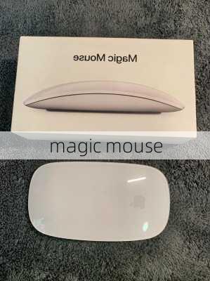 magic mouse