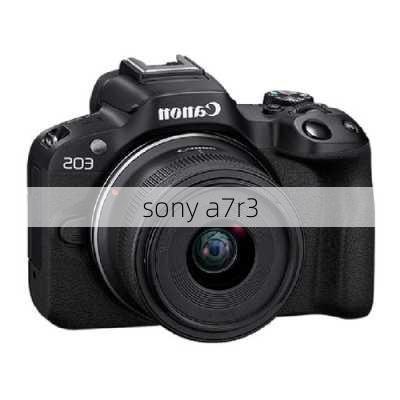 sony a7r3