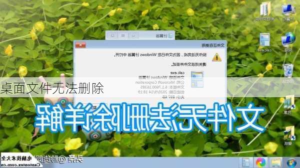 桌面文件无法删除