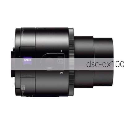 dsc-qx100