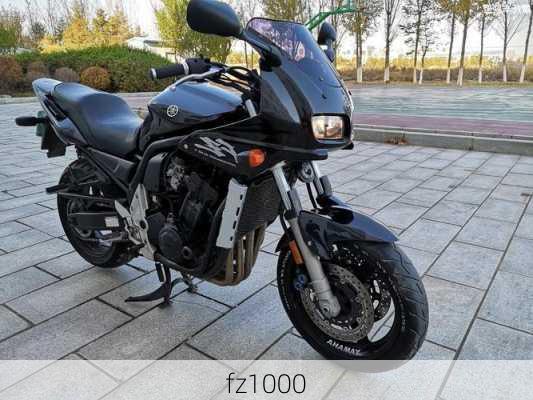 fz1000