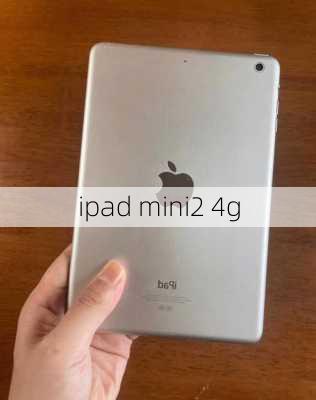 ipad mini2 4g