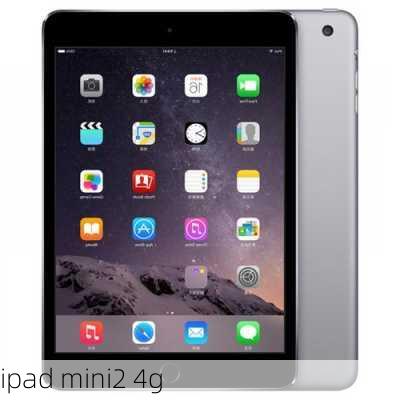 ipad mini2 4g