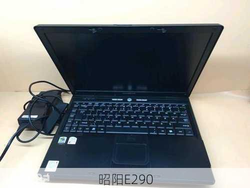 昭阳E290