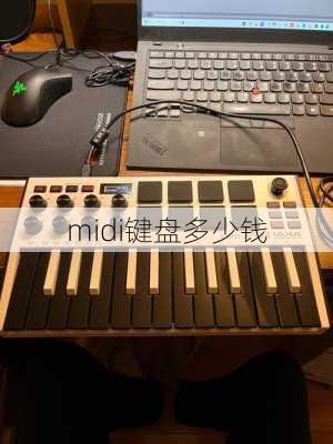 midi键盘多少钱