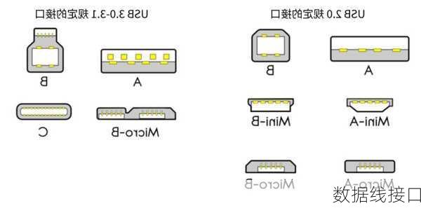 数据线接口