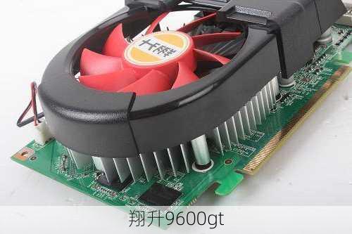 翔升9600gt