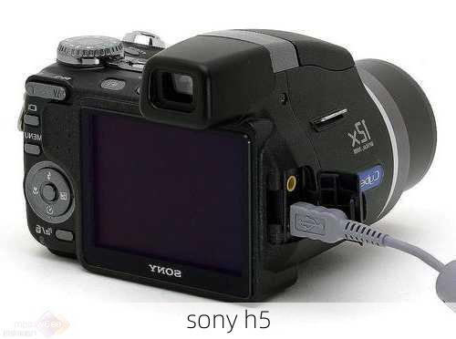 sony h5