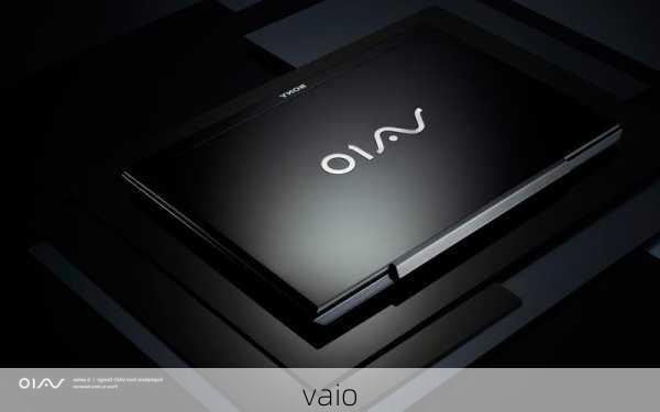 vaio