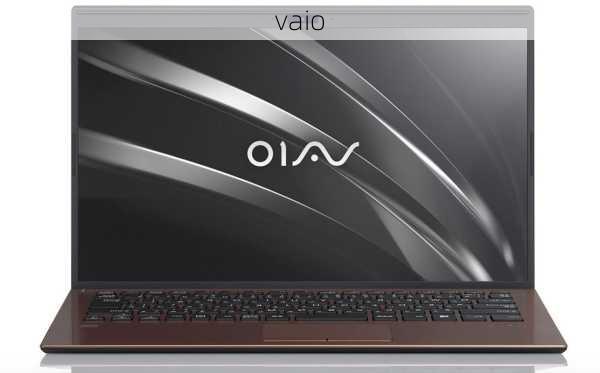 vaio