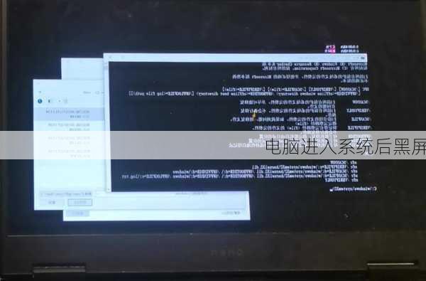 电脑进入系统后黑屏