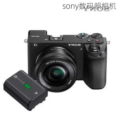 sony数码照相机