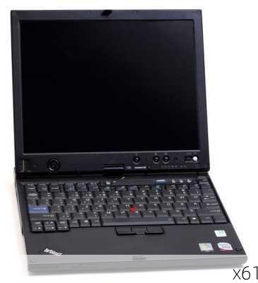 x61